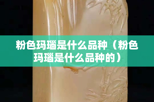 粉色玛瑙是什么品种（粉色玛瑙是什么品种的）