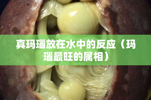 真玛瑙放在水中的反应（玛瑙最旺的属相）