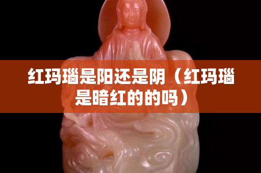 红玛瑙是阳还是阴（红玛瑙是暗红的的吗）