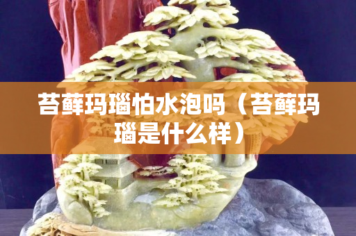 苔藓玛瑙怕水泡吗（苔藓玛瑙是什么样）