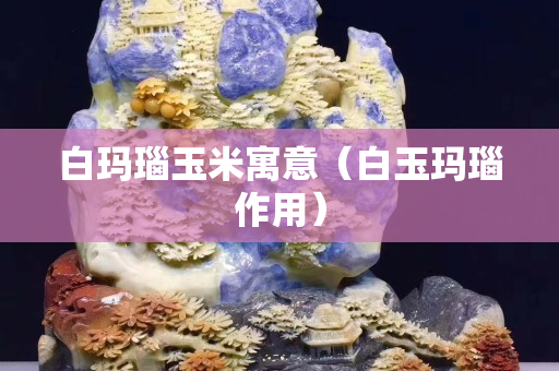 白玛瑙玉米寓意（白玉玛瑙作用）