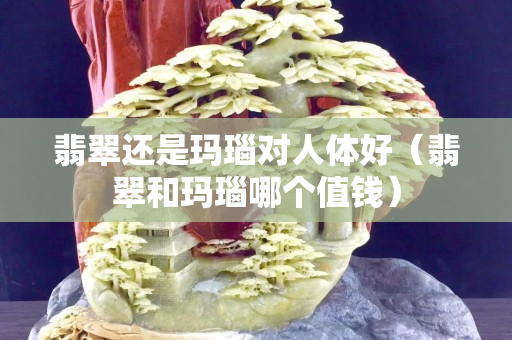 翡翠还是玛瑙对人体好（翡翠和玛瑙哪个值钱）