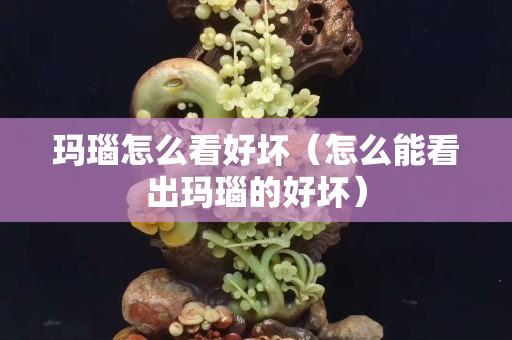 玛瑙怎么看好坏（怎么能看出玛瑙的好坏）