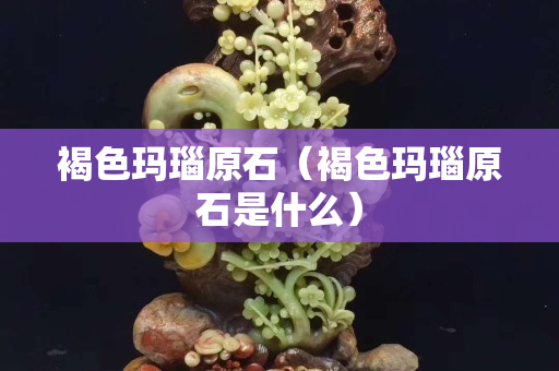 褐色玛瑙原石（褐色玛瑙原石是什么）