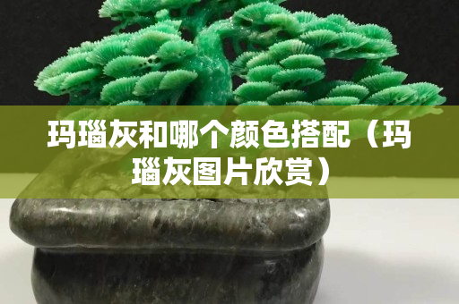 玛瑙灰和哪个颜色搭配（玛瑙灰图片欣赏）