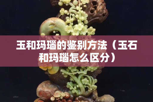 玉和玛瑙的鉴别方法（玉石和玛瑙怎么区分）