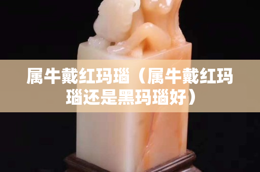 属牛戴红玛瑙（属牛戴红玛瑙还是黑玛瑙好）