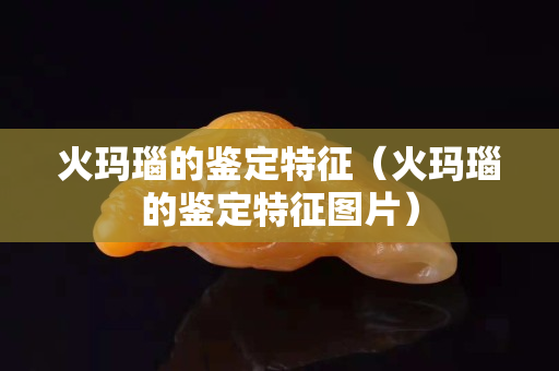 火玛瑙的鉴定特征（火玛瑙的鉴定特征图片）