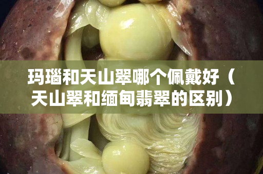 玛瑙和天山翠哪个佩戴好（天山翠和缅甸翡翠的区别）