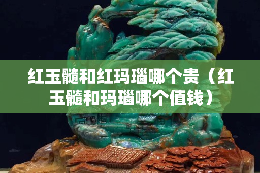 红玉髓和红玛瑙哪个贵（红玉髓和玛瑙哪个值钱）