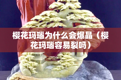 樱花玛瑙为什么会爆晶（樱花玛瑙容易裂吗）