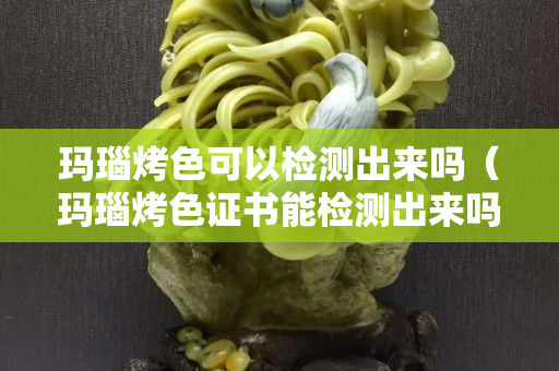 玛瑙烤色可以检测出来吗（玛瑙烤色证书能检测出来吗）
