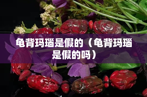 龟背玛瑙是假的（龟背玛瑙是假的吗）