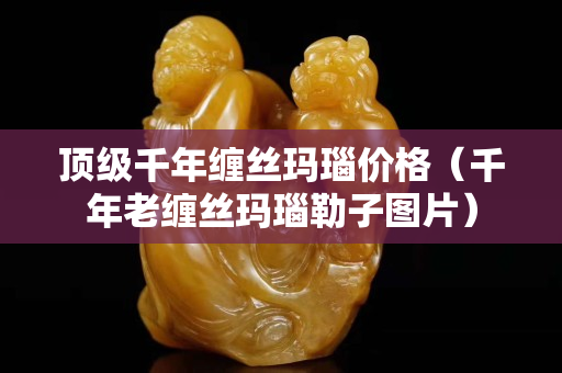 顶级千年缠丝玛瑙价格（千年老缠丝玛瑙勒子图片）