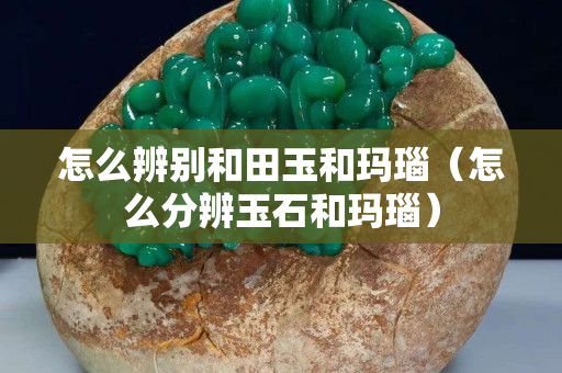 怎么辨别和田玉和玛瑙（怎么分辨玉石和玛瑙）