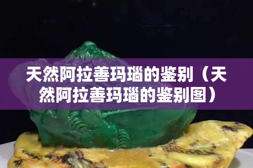 天然阿拉善玛瑙的鉴别（天然阿拉善玛瑙的鉴别图）