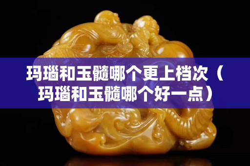 玛瑙和玉髓哪个更上档次（玛瑙和玉髓哪个好一点）