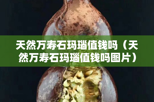 天然万寿石玛瑙值钱吗（天然万寿石玛瑙值钱吗图片）