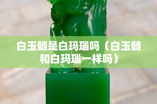 白玉髓是白玛瑙吗（白玉髓和白玛瑙一样吗）