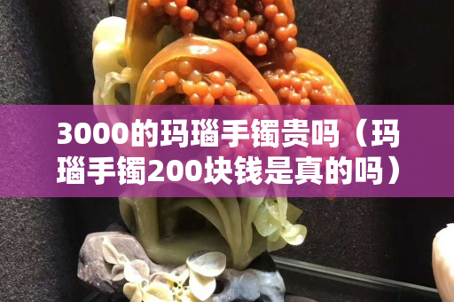 3000的玛瑙手镯贵吗（玛瑙手镯200块钱是真的吗）