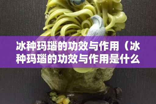 冰种玛瑙的功效与作用（冰种玛瑙的功效与作用是什么）