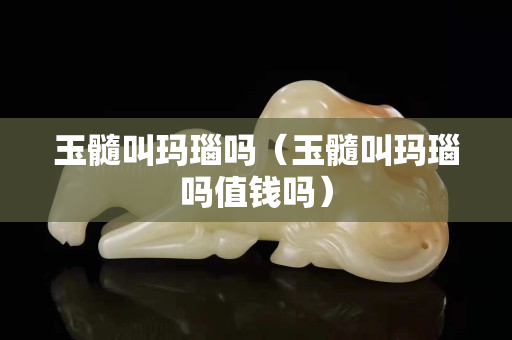 玉髓叫玛瑙吗（玉髓叫玛瑙吗值钱吗）
