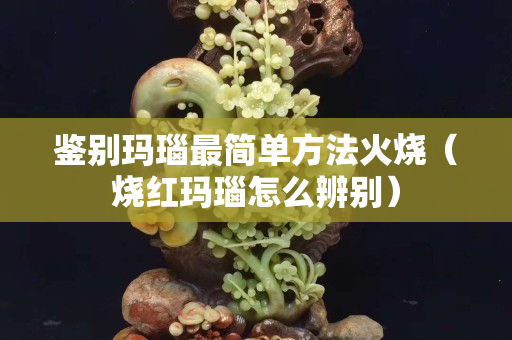 鉴别玛瑙最简单方法火烧（烧红玛瑙怎么辨别）
