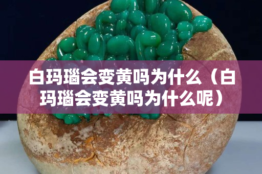 白玛瑙会变黄吗为什么（白玛瑙会变黄吗为什么呢）