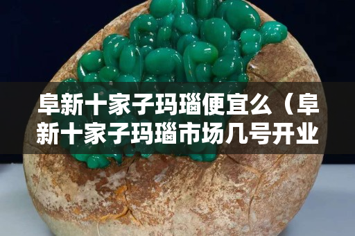 阜新十家子玛瑙便宜么（阜新十家子玛瑙市场几号开业）