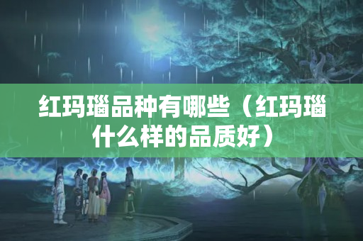 红玛瑙品种有哪些（红玛瑙什么样的品质好）