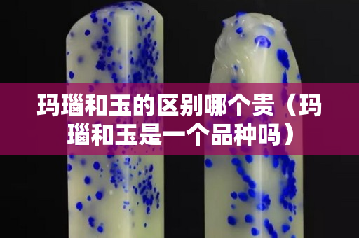 玛瑙和玉的区别哪个贵（玛瑙和玉是一个品种吗）