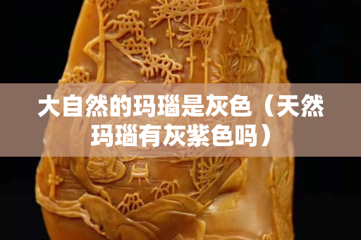 大自然的玛瑙是灰色（天然玛瑙有灰紫色吗）