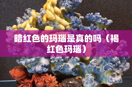 暗红色的玛瑙是真的吗（褐红色玛瑙）