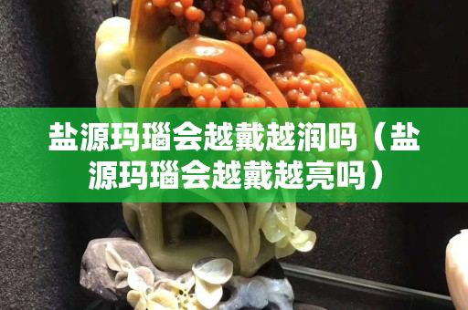 盐源玛瑙会越戴越润吗（盐源玛瑙会越戴越亮吗）