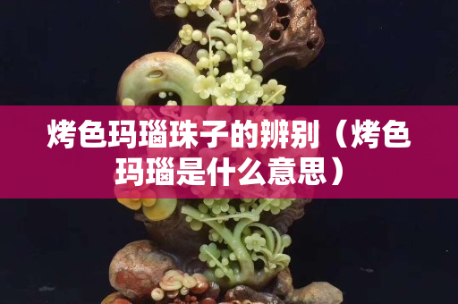 烤色玛瑙珠子的辨别（烤色玛瑙是什么意思）