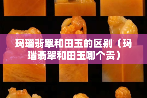 玛瑙翡翠和田玉的区别（玛瑙翡翠和田玉哪个贵）