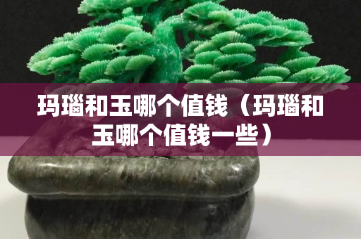 玛瑙和玉哪个值钱（玛瑙和玉哪个值钱一些）