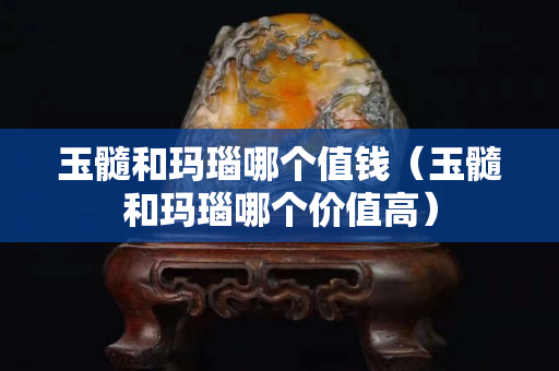 玉髓和玛瑙哪个值钱（玉髓和玛瑙哪个价值高）