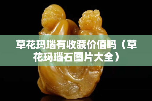 草花玛瑙有收藏价值吗（草花玛瑙石图片大全）