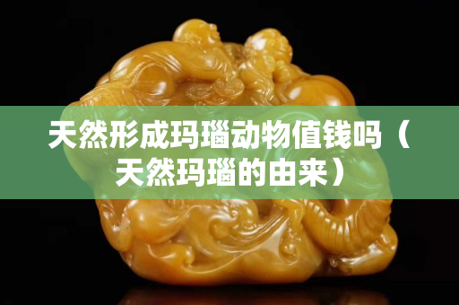天然形成玛瑙动物值钱吗（天然玛瑙的由来）