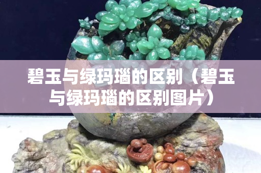 碧玉与绿玛瑙的区别（碧玉与绿玛瑙的区别图片）