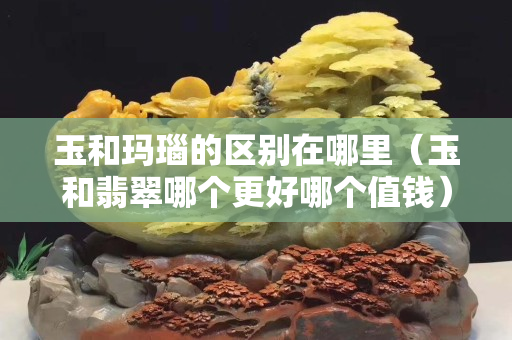玉和玛瑙的区别在哪里（玉和翡翠哪个更好哪个值钱）