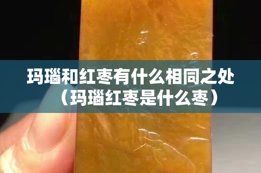 玛瑙和红枣有什么相同之处（玛瑙红枣是什么枣）