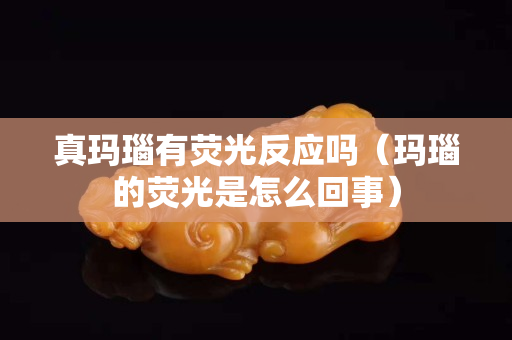 真玛瑙有荧光反应吗（玛瑙的荧光是怎么回事）