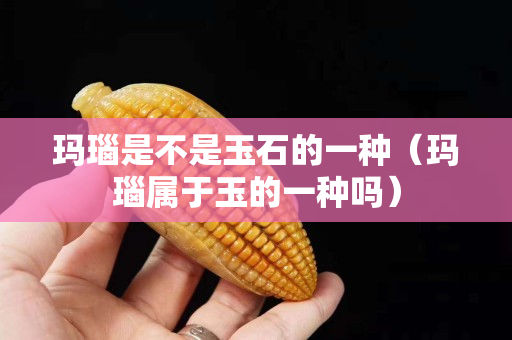 玛瑙是不是玉石的一种（玛瑙属于玉的一种吗）