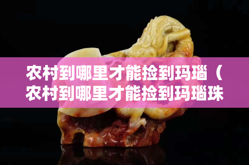 农村到哪里才能捡到玛瑙（农村到哪里才能捡到玛瑙珠子）