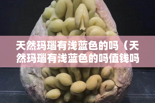 天然玛瑙有浅蓝色的吗（天然玛瑙有浅蓝色的吗值钱吗）
