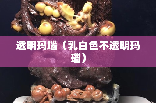 透明玛瑙（乳白色不透明玛瑙）