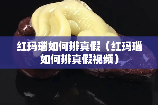 红玛瑙如何辨真假（红玛瑙如何辨真假视频）