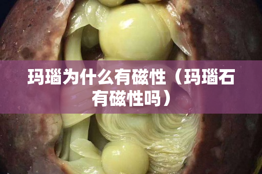 玛瑙为什么有磁性（玛瑙石有磁性吗）